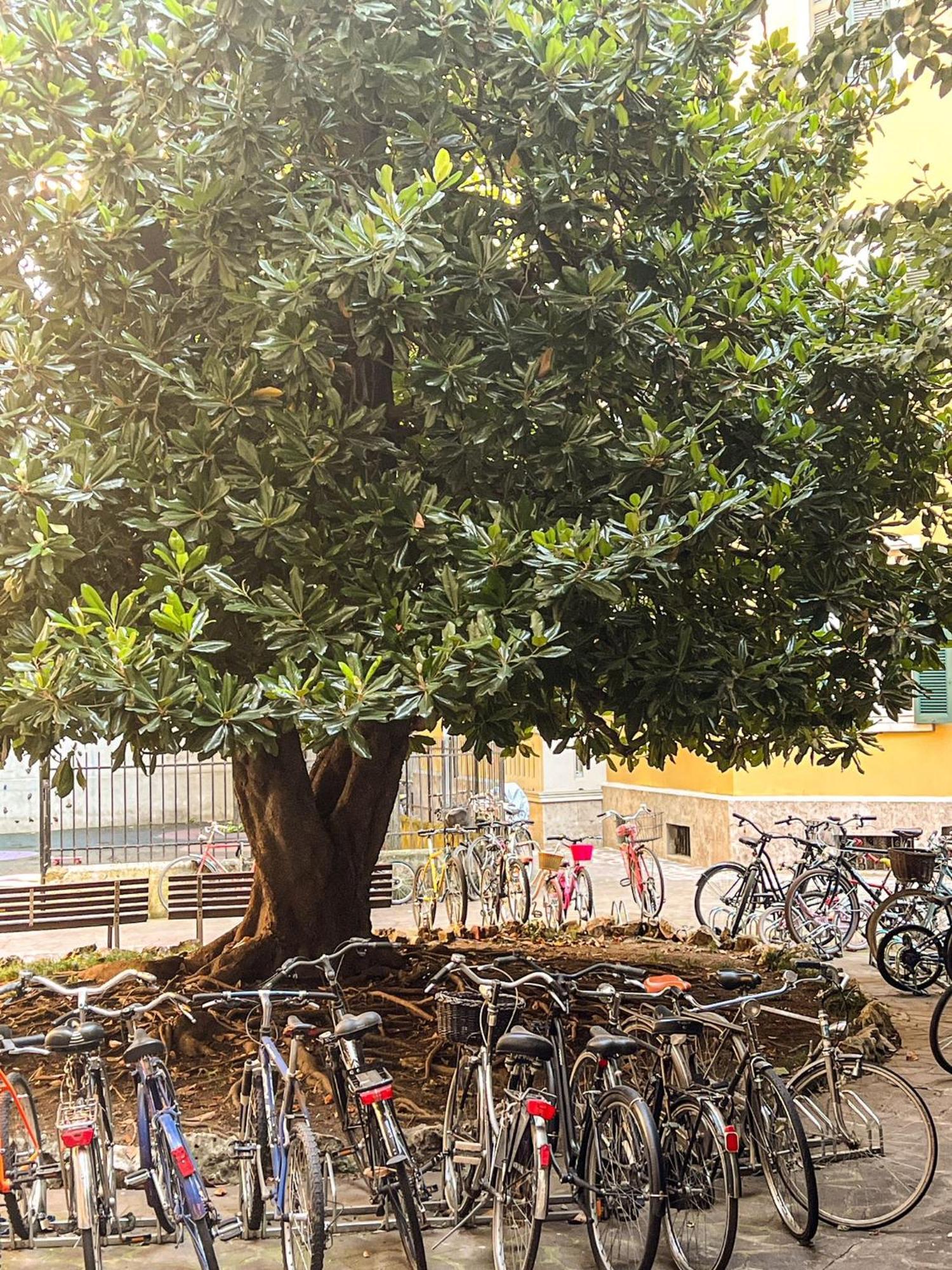 Appartamento Divini Gae Aulenti Milano Esterno foto